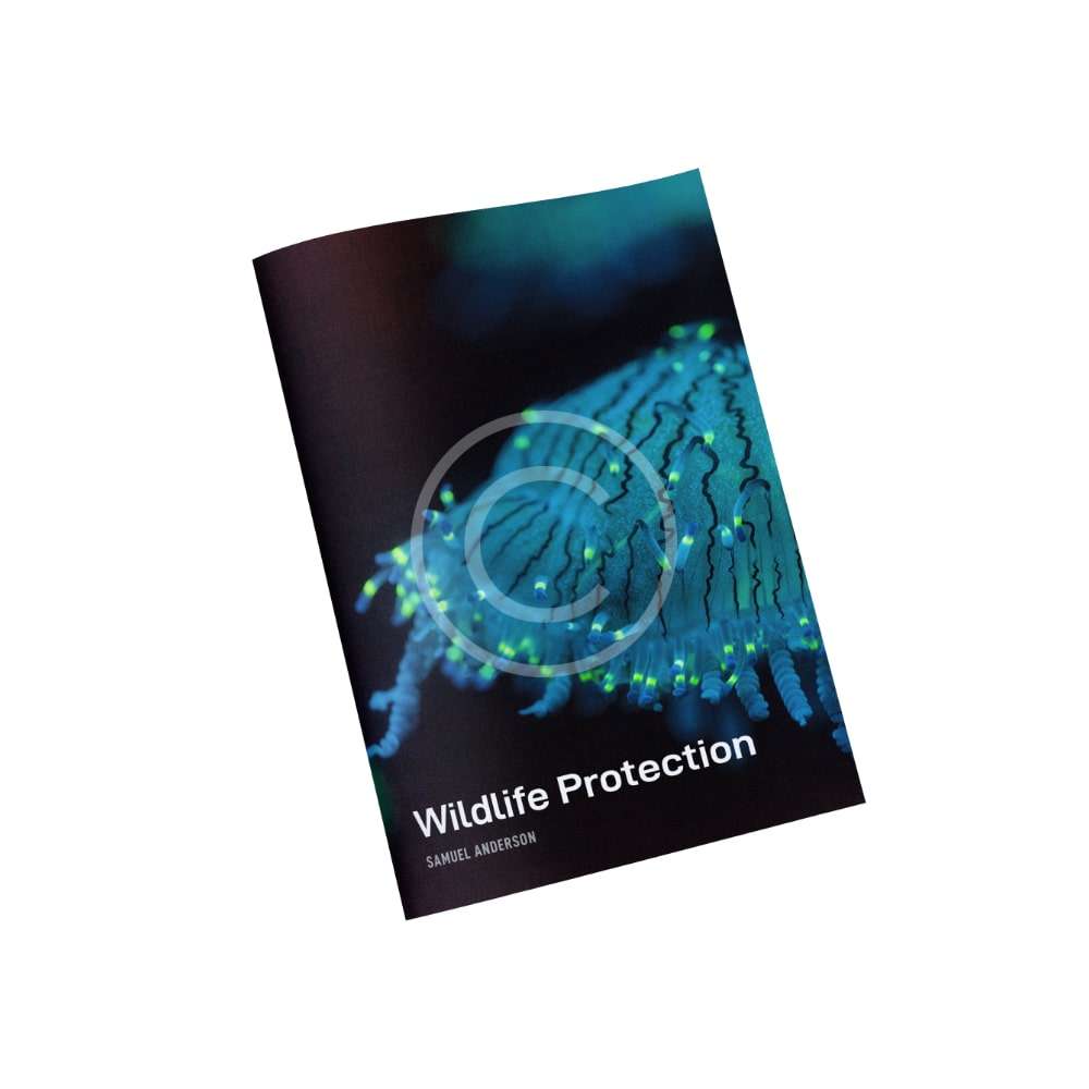 product-copyright (2)